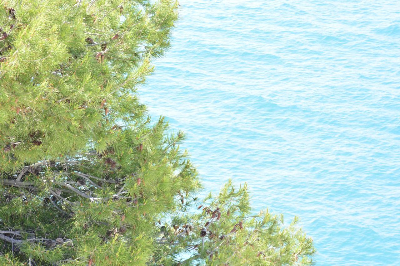 Blancos Rooms Hotel Peñíscola Kültér fotó